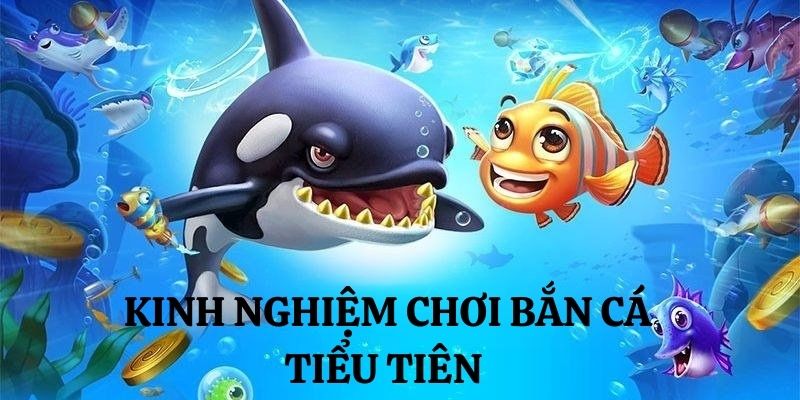 Săn cá Tiểu tiên có kinh nghiệm để thắng lớn 